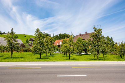 Trees by road against sky