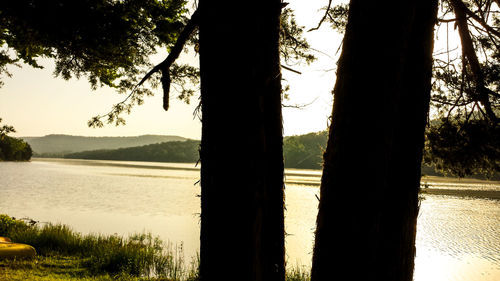Silhouette trees by lake against sky
