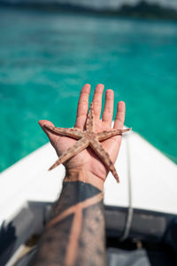 Close-up of starfish in sea