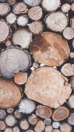 Full frame shot of logs in forest