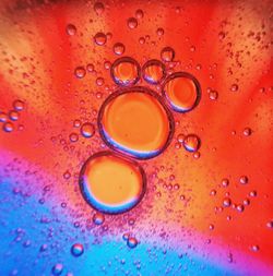 Close-up of water drops on glass