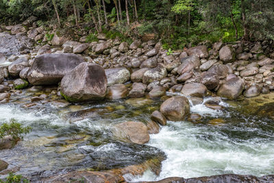 Stream flowing through rocks in forest