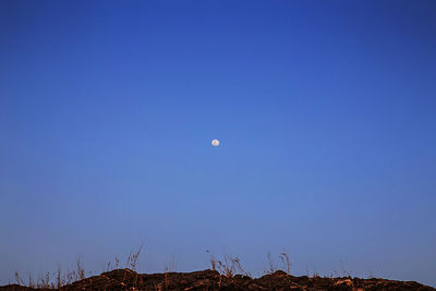 Low angle view of moon against clear blue sky