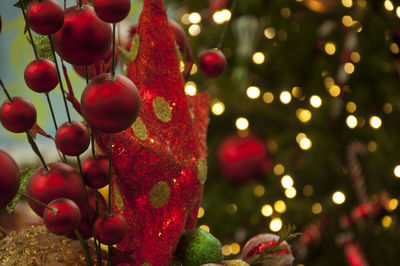 Close-up of christmas tree