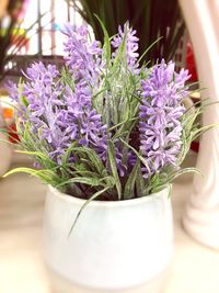 Close-up of purple flower pot on table