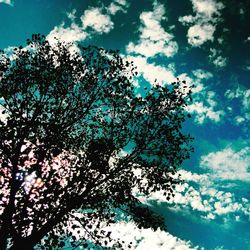 Low angle view of trees against blue sky