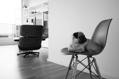 Rear view of woman sitting on chair