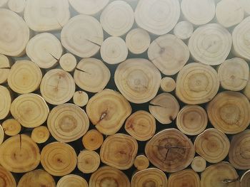 Full frame shot of logs in forest