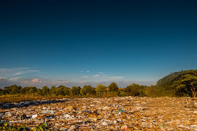 Trash keeper land garbage landfill environmental.