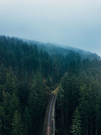 High angle view of bridge amidst forest