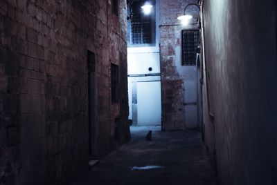 Empty narrow street along buildings