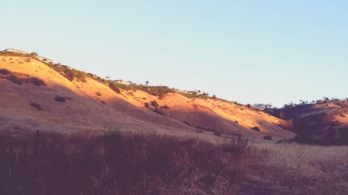 Scenic view of landscape against clear sky