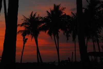 Silhouette palm trees on beach during sunset