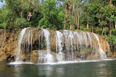 Scenic view of waterfall in forest