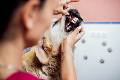 Back view of blur female veterinarian in uniform examining teeth of golden retriever dog in modern veterinarian clinic during work