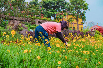 A man is tending a beautiful colorful flowers in the garden with a trees and sky on the background