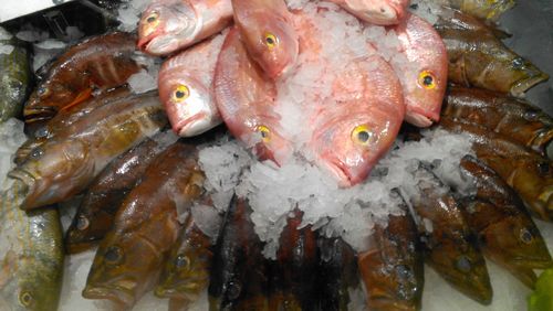 High angle view of fishes at market