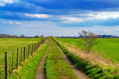 Scenic view of agricultural field against sky