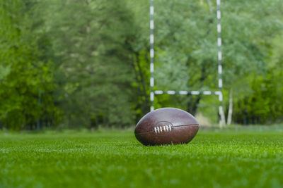 Close-up of ball on field