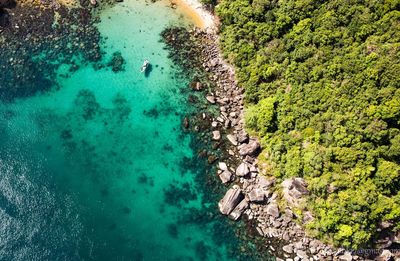 High angle view of trees by sea