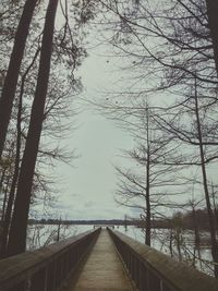 Narrow walkway along trees