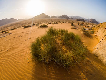 Wide angle shot of the wadi rum desert in jordan, middle east