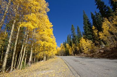 Road amidst trees in forest against clear sky during autumn