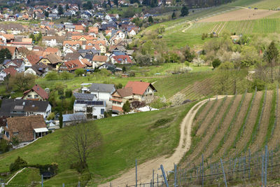 High angle view of houses and trees on field