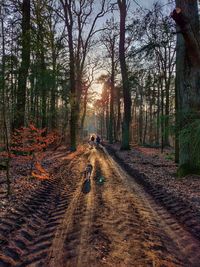 Man, woman and dog walking on footpath in forest