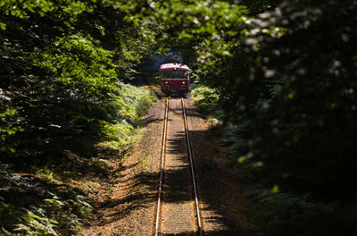 High angle view of train moving on railroad tracks amidst trees in forest