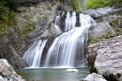 Scenic view of waterfall in forest