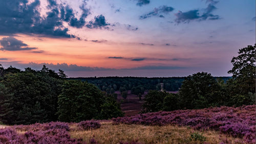 Scenic view of field against sky during sunset