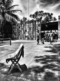 Bicycles in row against trees