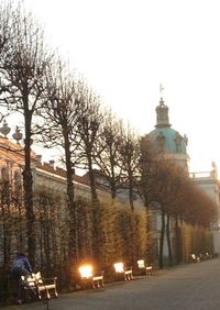 Bare trees in front of building