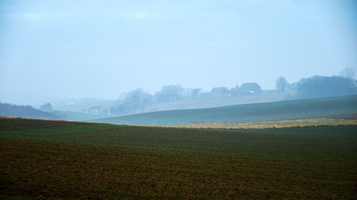 Scenic view of agricultural field against sky