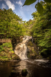 Scenic view of waterfall in forest