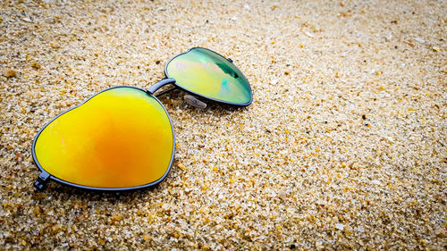 High angle view of shells on sand