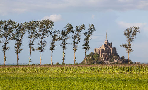 Mont-saint-michel from the fields, normandy, france