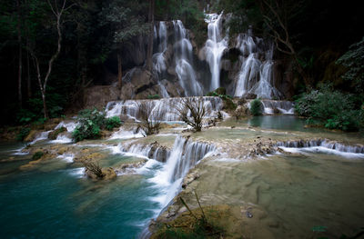 Scenic view of waterfall in forest