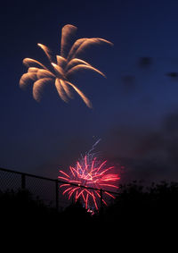 Low angle view of firework display at night