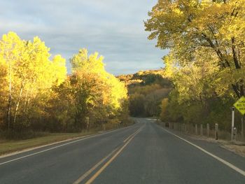 Road amidst trees against sky