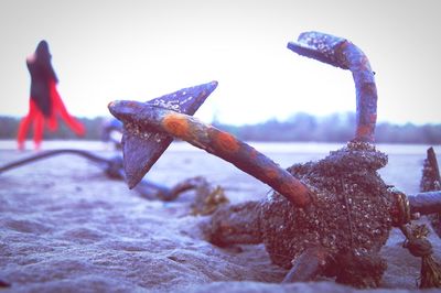 Close-up of barbed wire on snow covered land