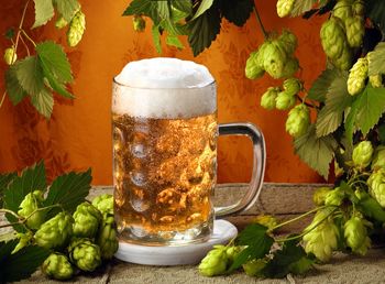 Close-up of beer glass on table