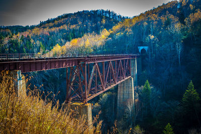 Bridge in forest against sky during autumn