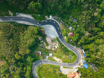 High angle view of road amidst trees