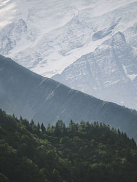 Layers of trees, mountains and snow in passy, france