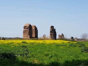 Scenic view of field against clear sky