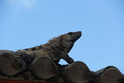 Low angle view of animal sculpture against clear blue sky