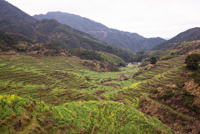 Scenic view of agricultural field against mountains