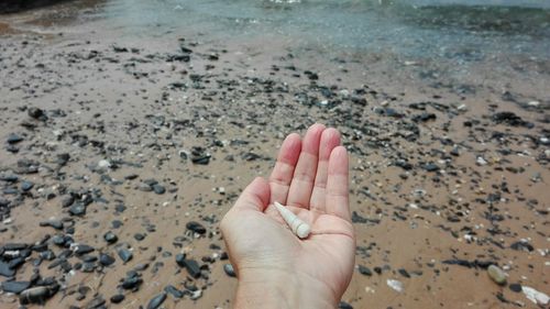 Close-up of hand on sand at beach